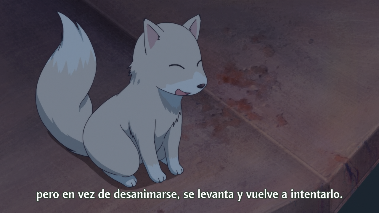 Inari, Konkon, Koi Iroha.: Inari, Konkon, Semishigure. (AnimeTeam)